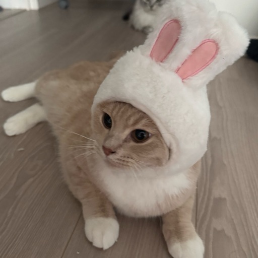 うにのプロフィール写真