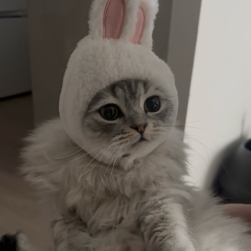 おこめのプロフィール写真