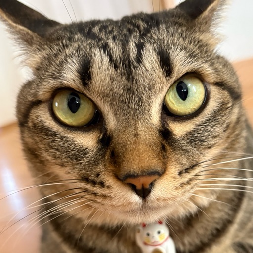 すずのプロフィール写真