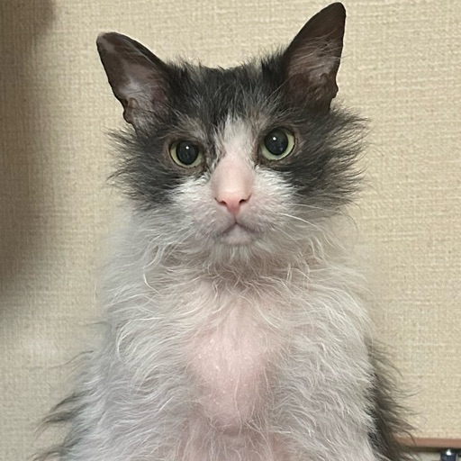 ふくのプロフィール写真