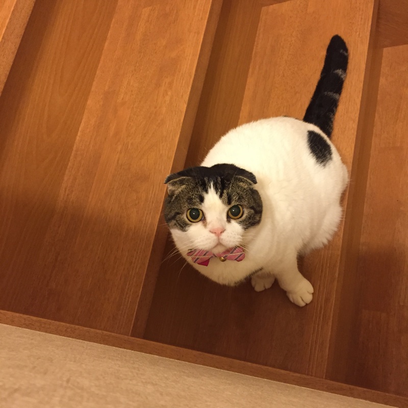 ひめのプロフィール写真