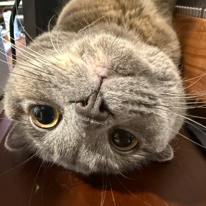 ティアのプロフィール写真