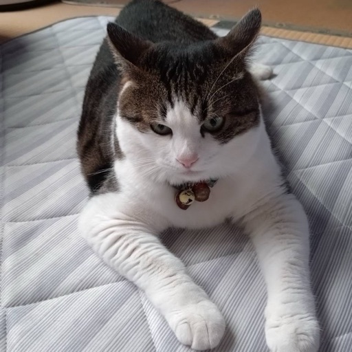 ふくのプロフィール写真