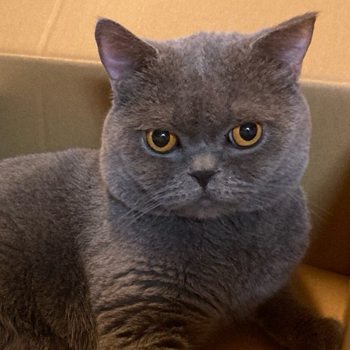 もずくのプロフィール写真