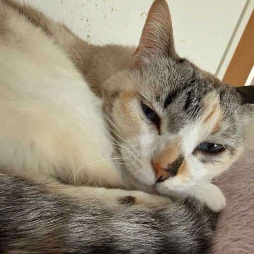 はるちゃんのプロフィール写真