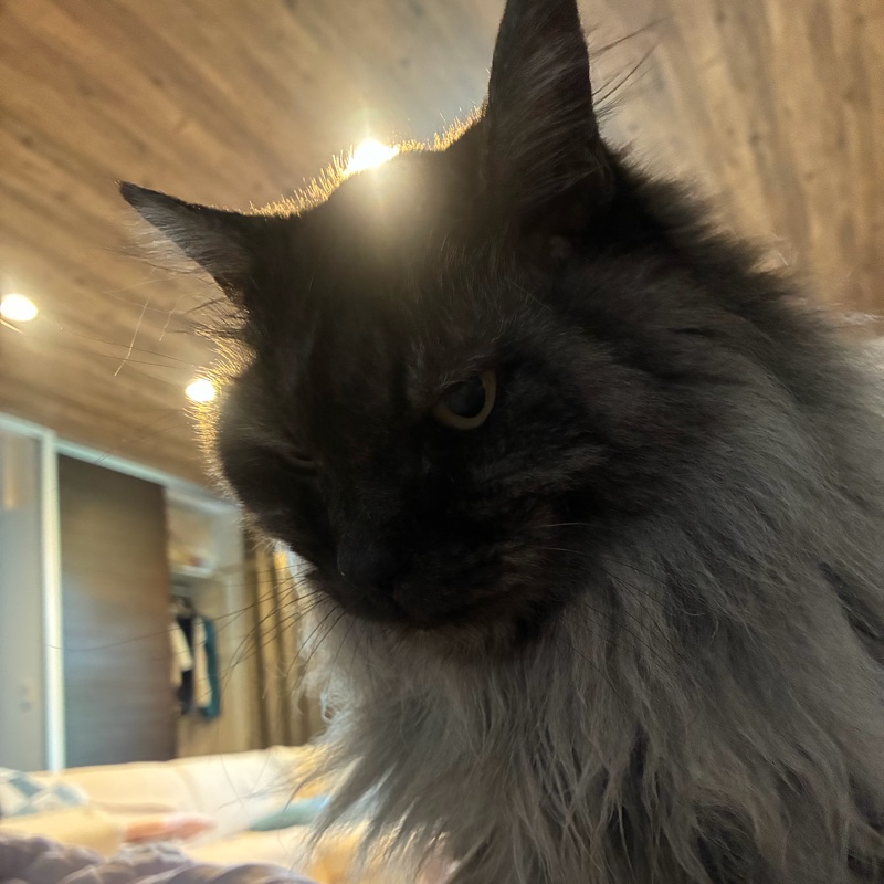 くうのプロフィール写真