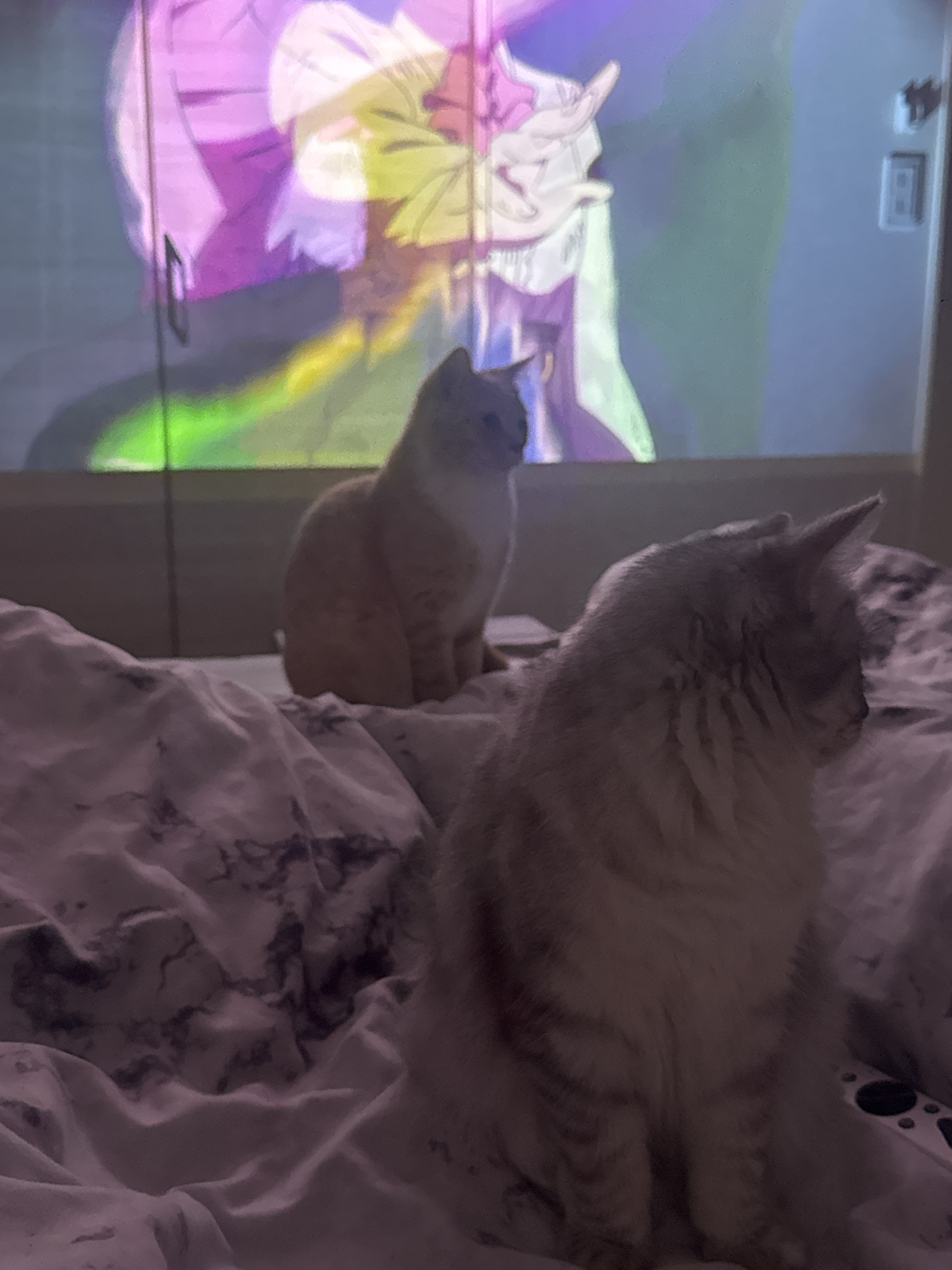 うにの写真