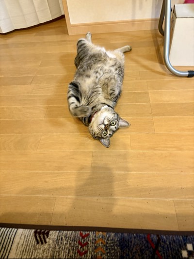 すずの写真