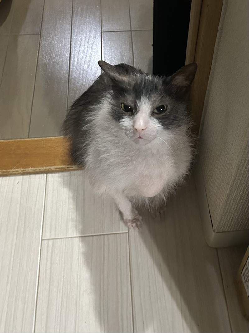 ふくの写真
