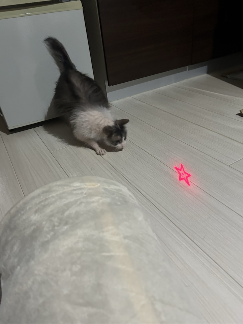ふくの写真