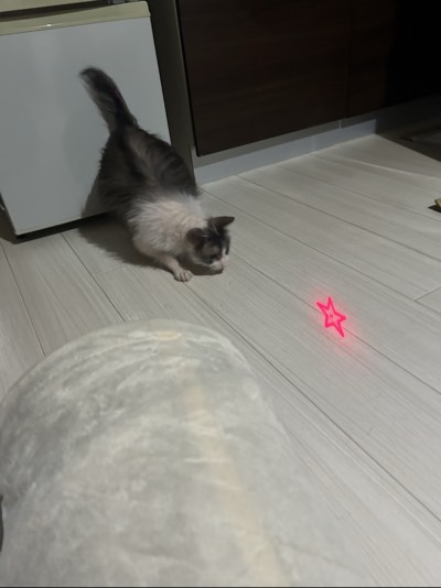 ふくの写真