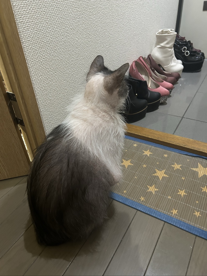 ふくの写真