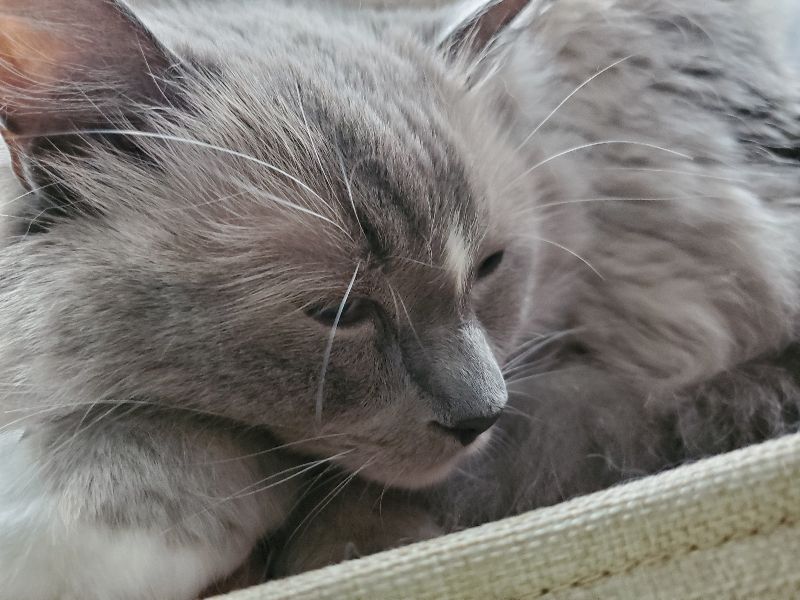 でちの写真
