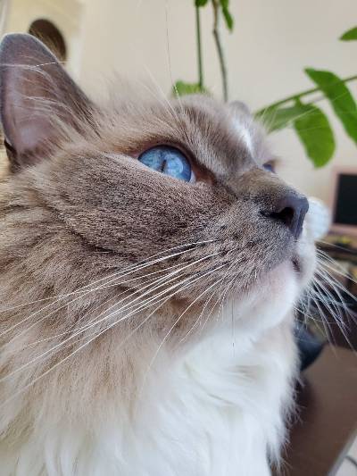 でちの写真