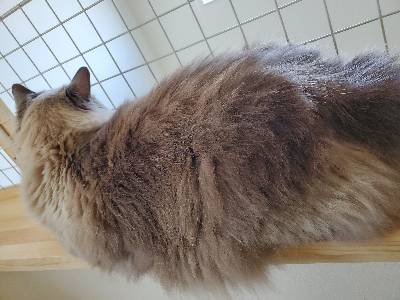 でちの写真