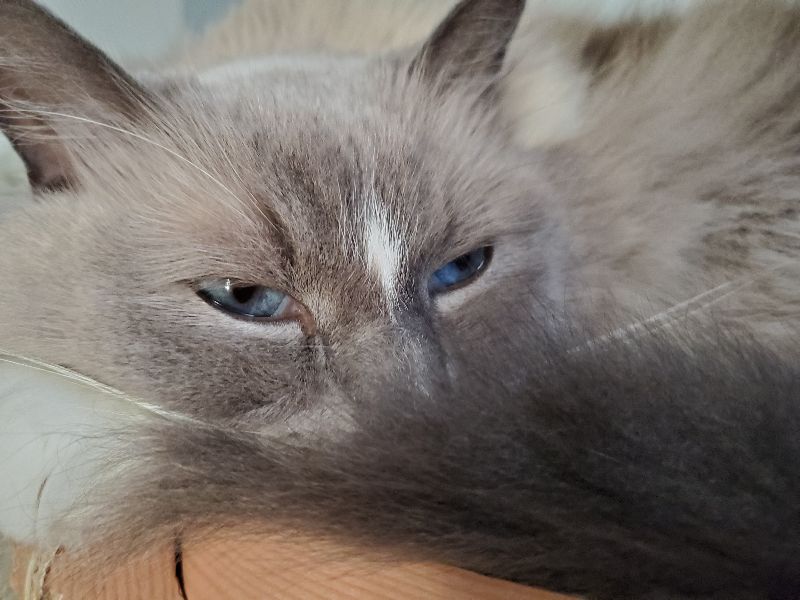 でちの写真