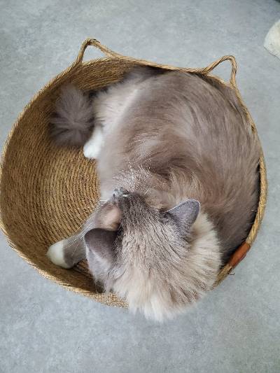 でちの写真