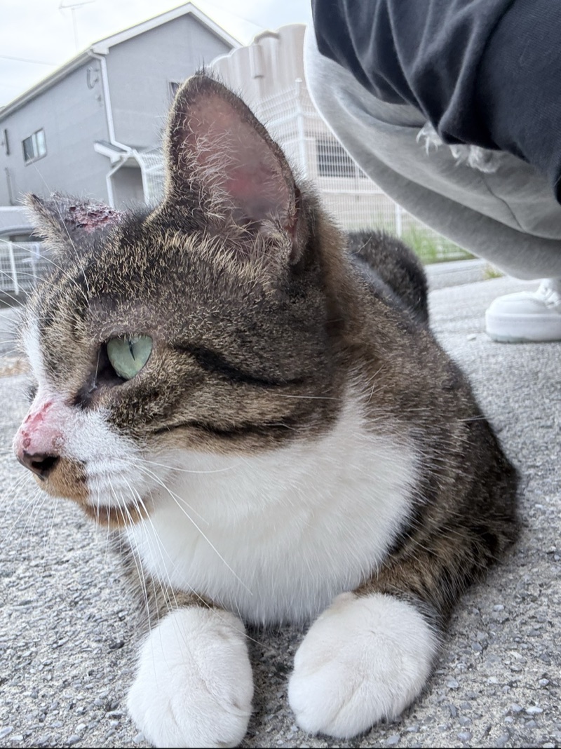 くぅちゃんの写真