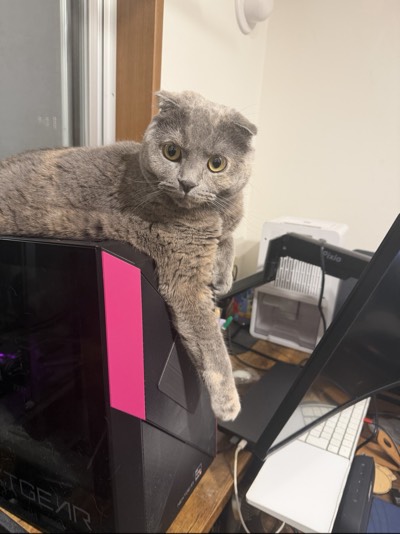 ティアの写真