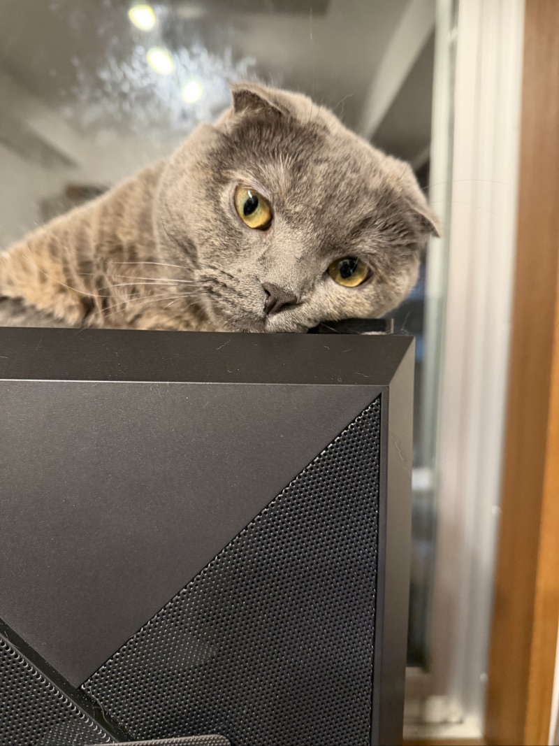 ティアの写真