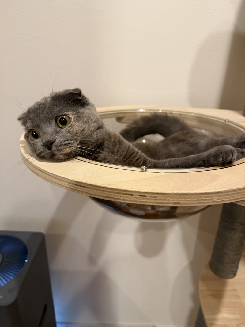 ティアの写真