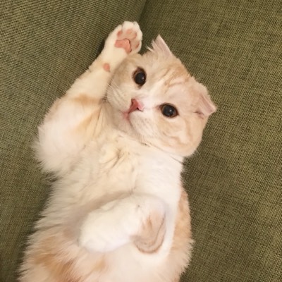 じるの写真