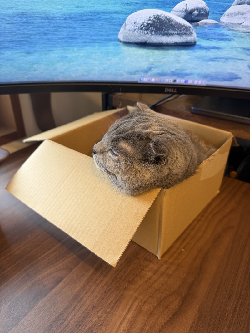 ティアの写真