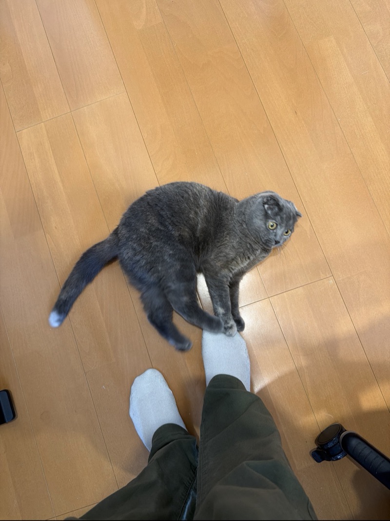 ティアの写真