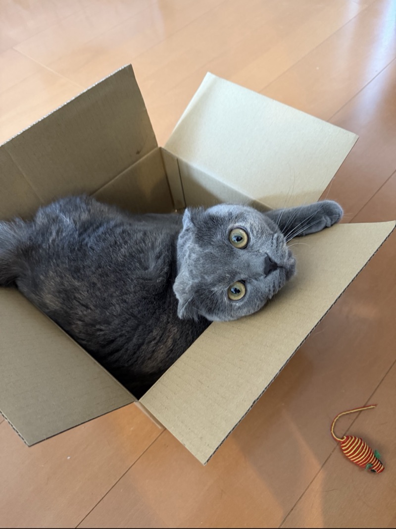 ティアの写真