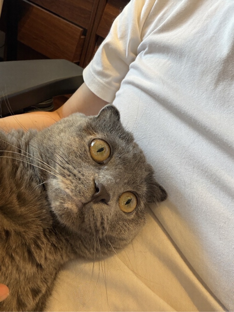ティアの写真
