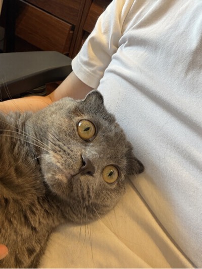 ティアの写真