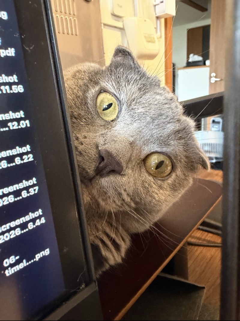 ティアの写真