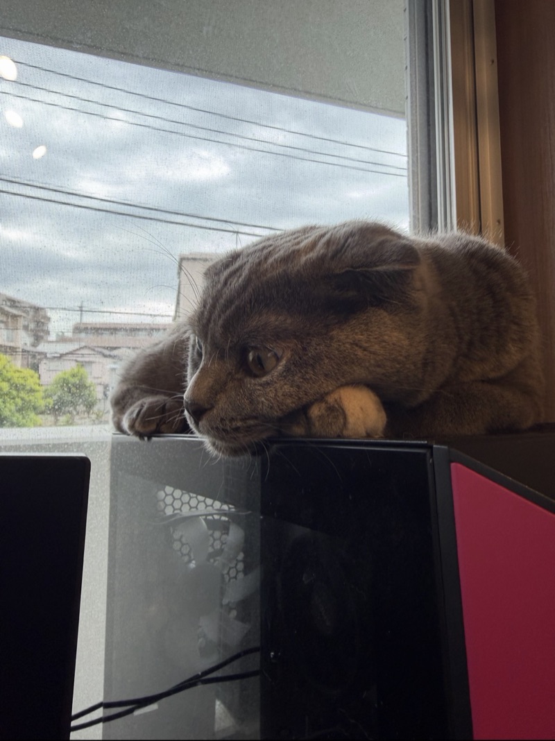 ティアの写真