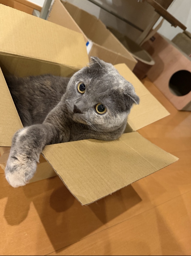 ティアの写真