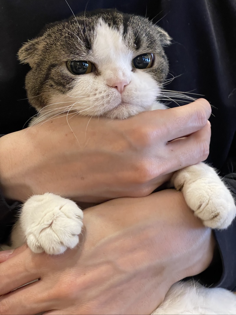 ひめの写真