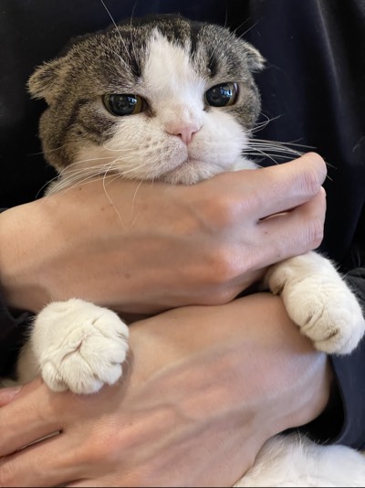 ひめの写真