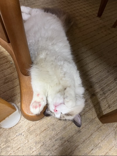 そらの写真