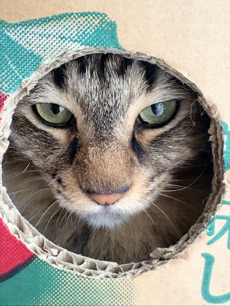 ロイの写真