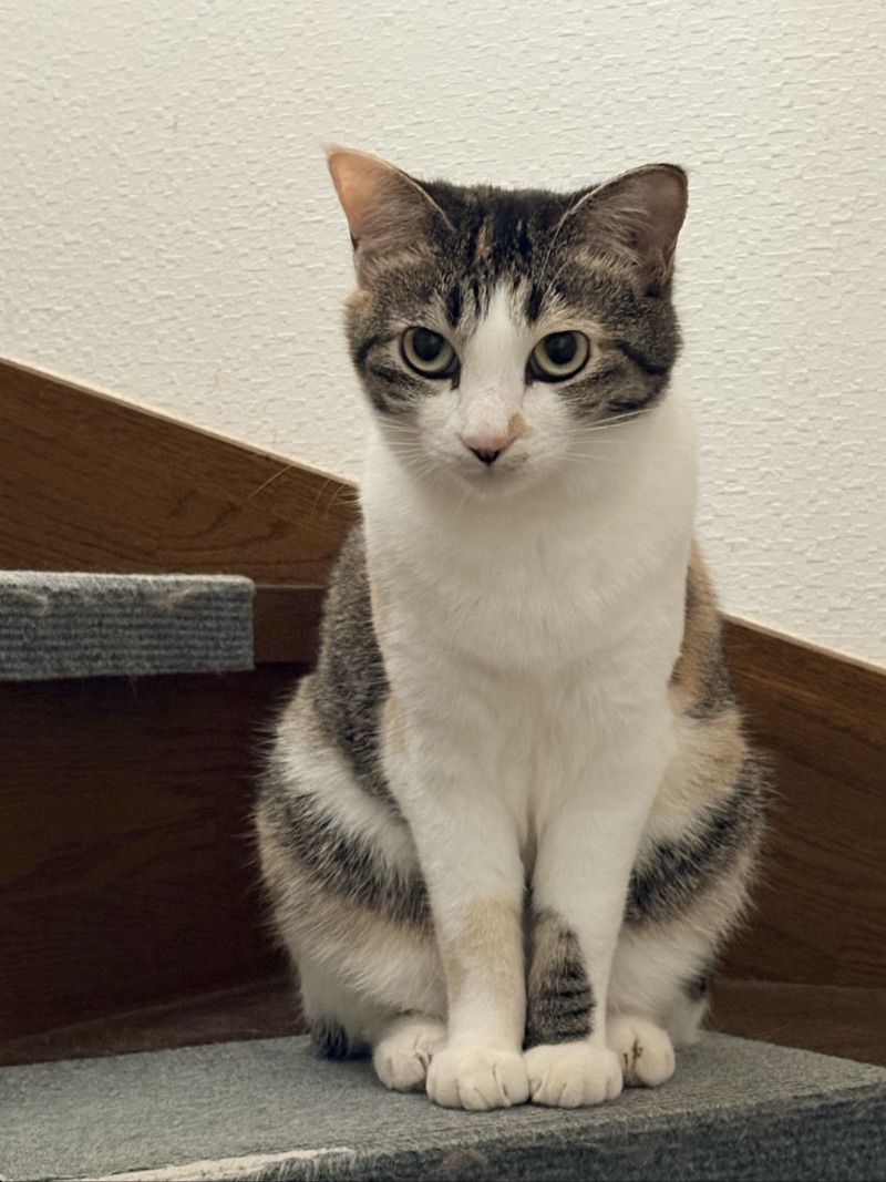 モカの写真