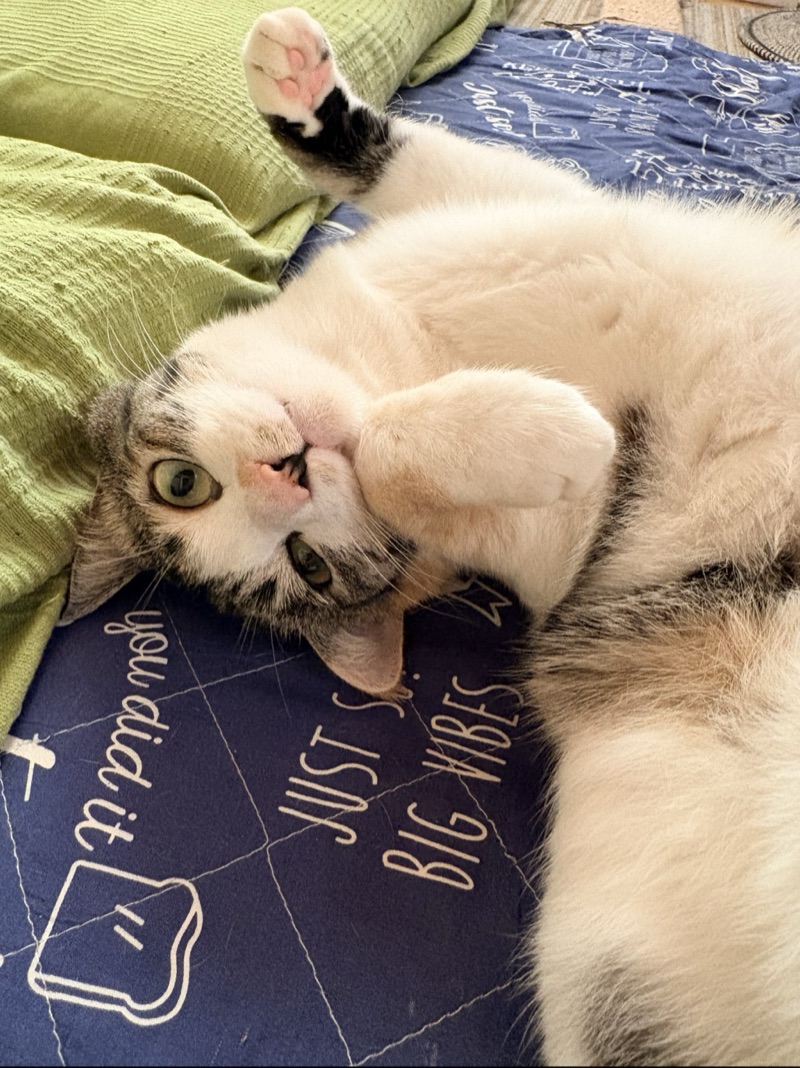 モカの写真