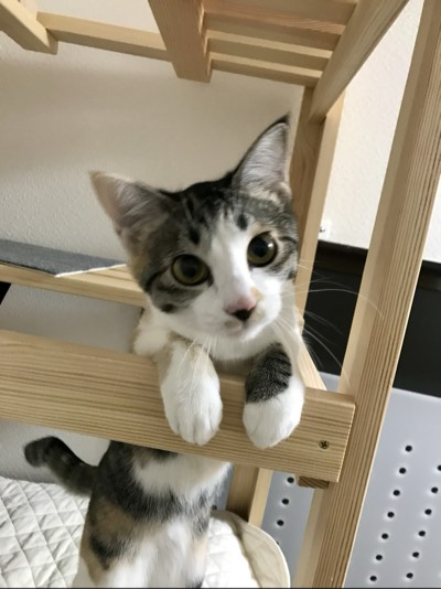モカの写真