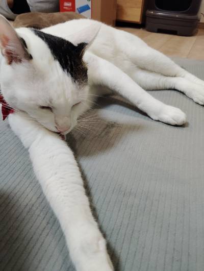 ゆきの写真