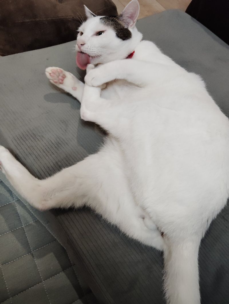 ゆきの写真