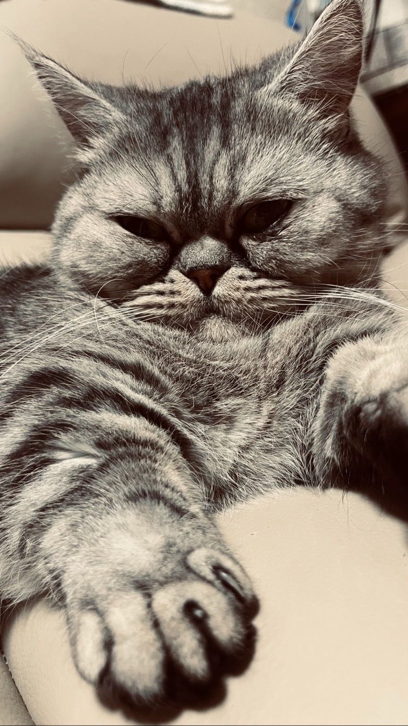 プー太の写真