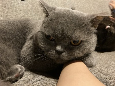もずくの写真