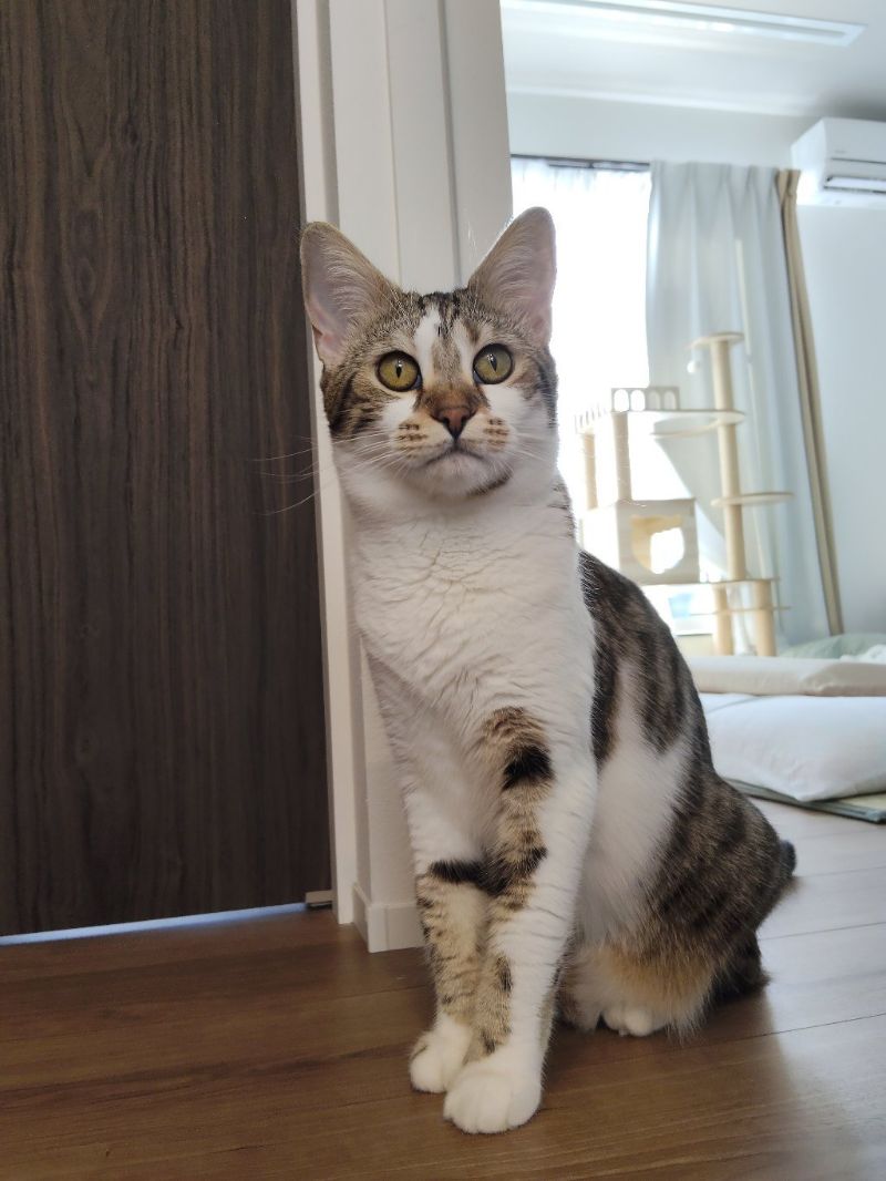 ラヴの写真