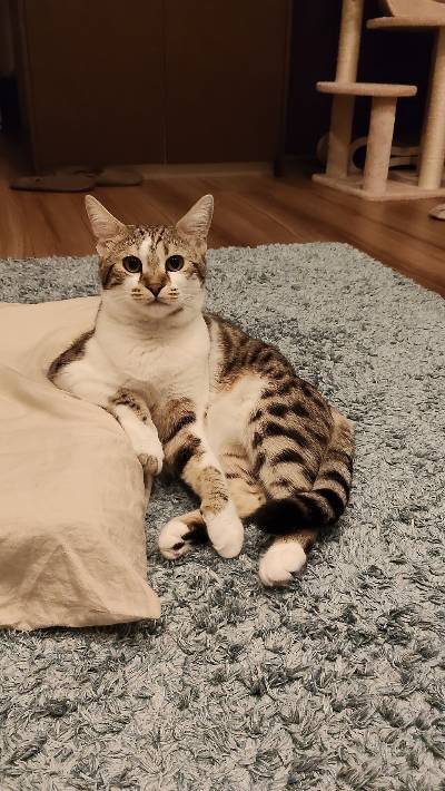 ラヴの写真