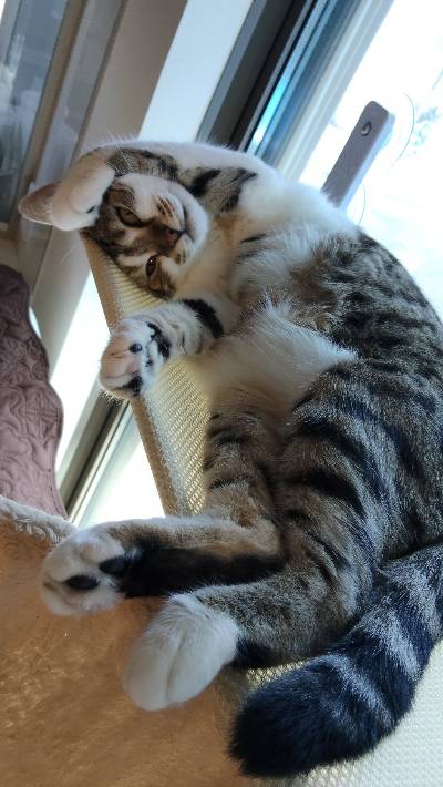 ラヴの写真