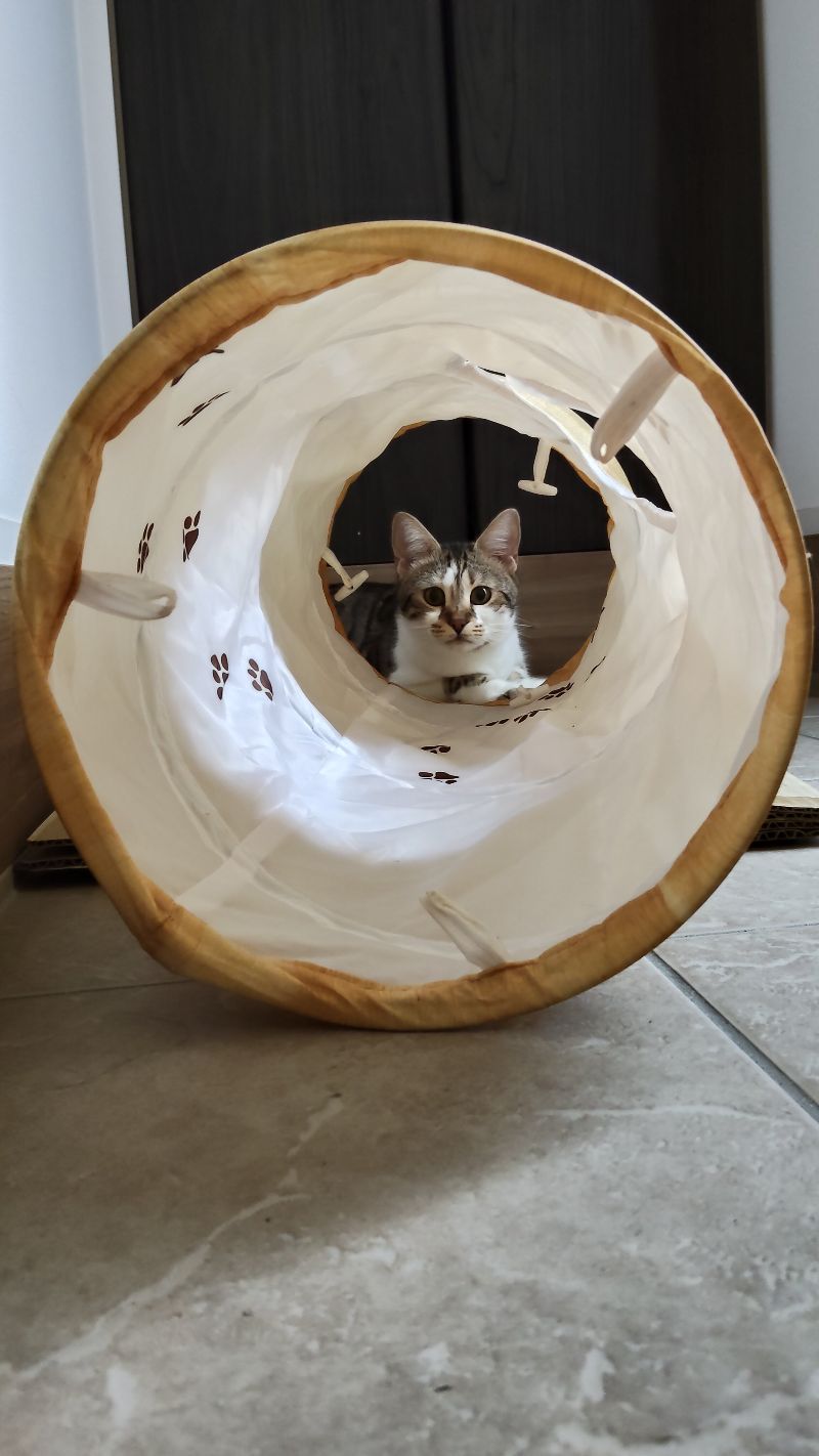 ラヴの写真