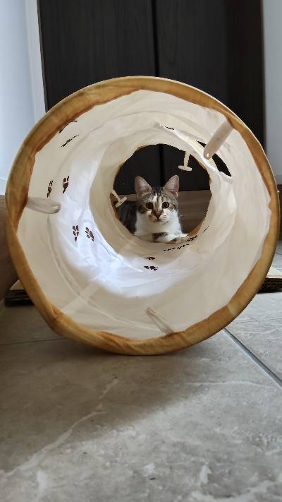 ラヴの写真